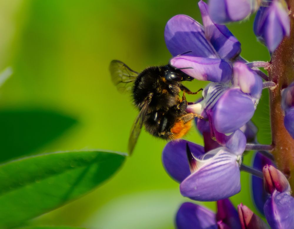 Photograph by Ольга Заповедная