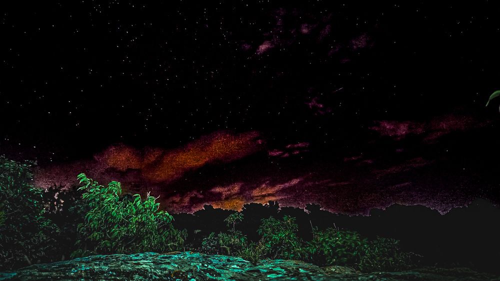 Фотография автора Александр Адамович