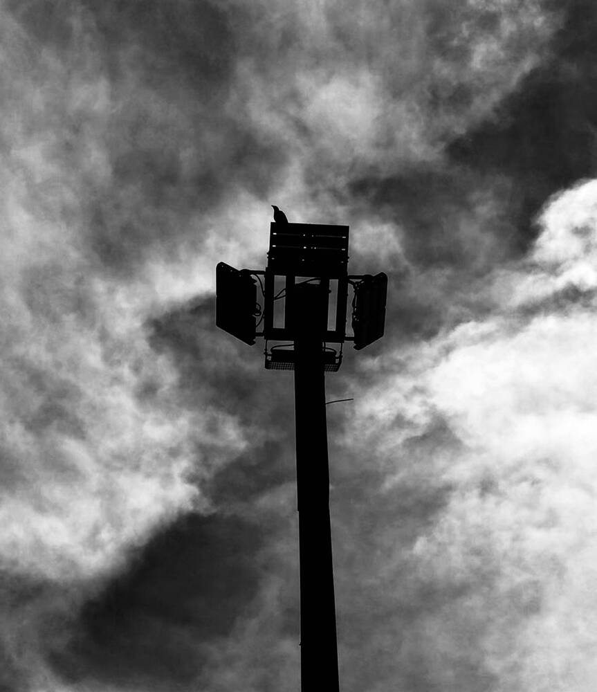 Solitary Silhouette