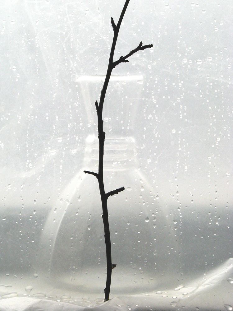 Photograph by Лада Кляузина