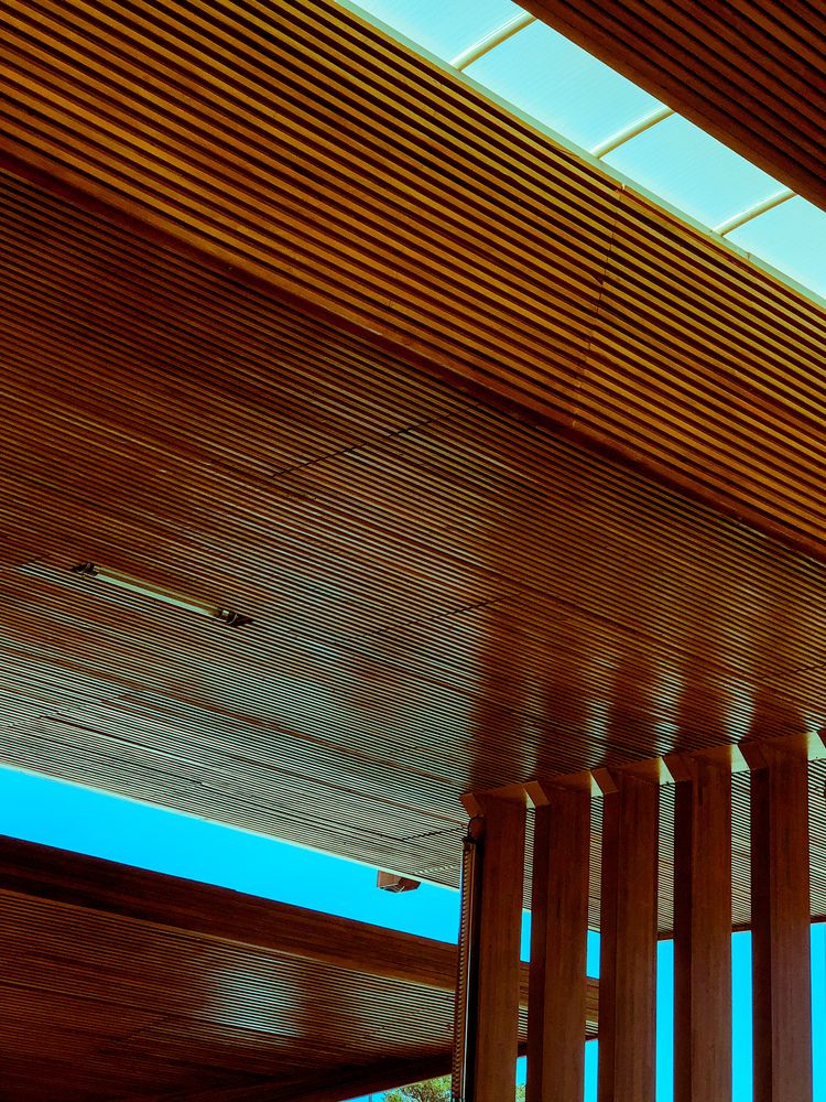 Lines and Light in Transit