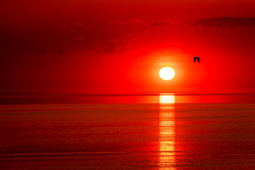 Photograph by Игорь Овсиенко