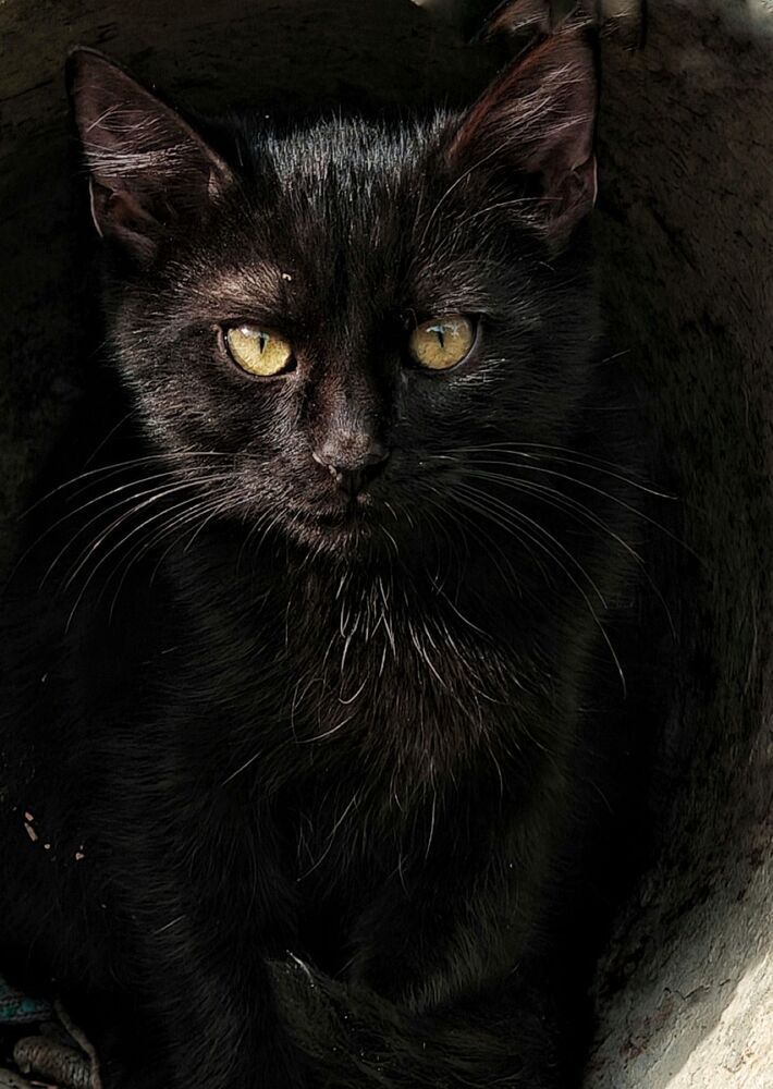 Photograph by Сергей Кошин