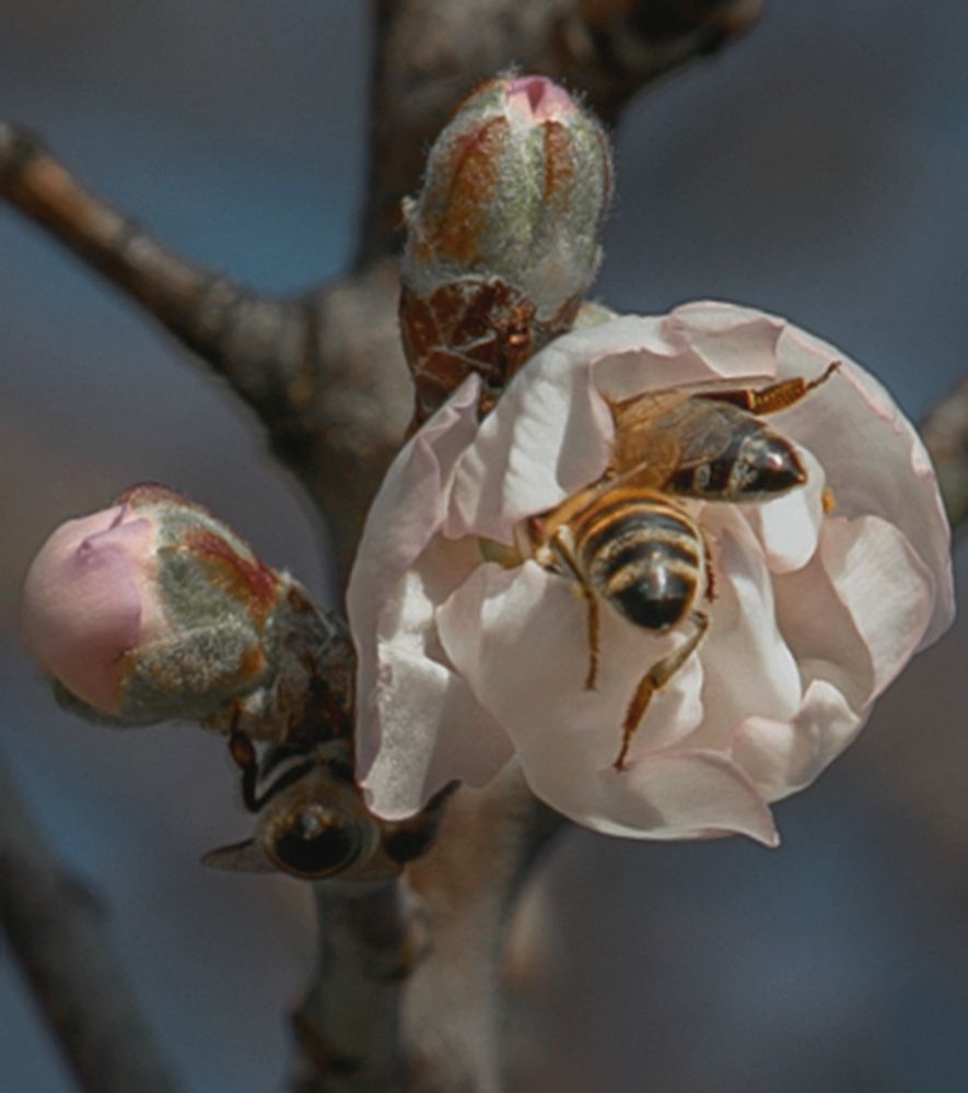 Photograph by Taтьяна Войлокова