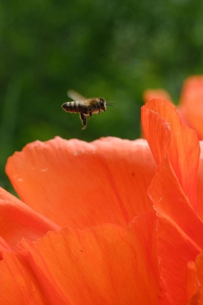 Photograph by Евгений Никонов