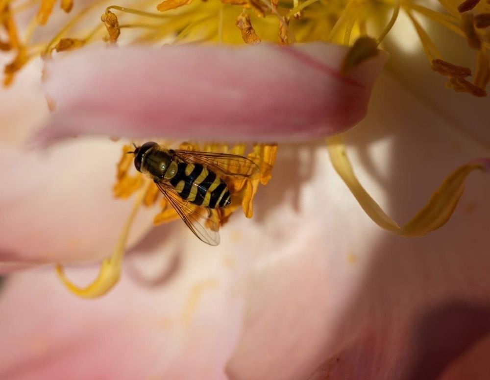 Photograph by Евгений Никонов