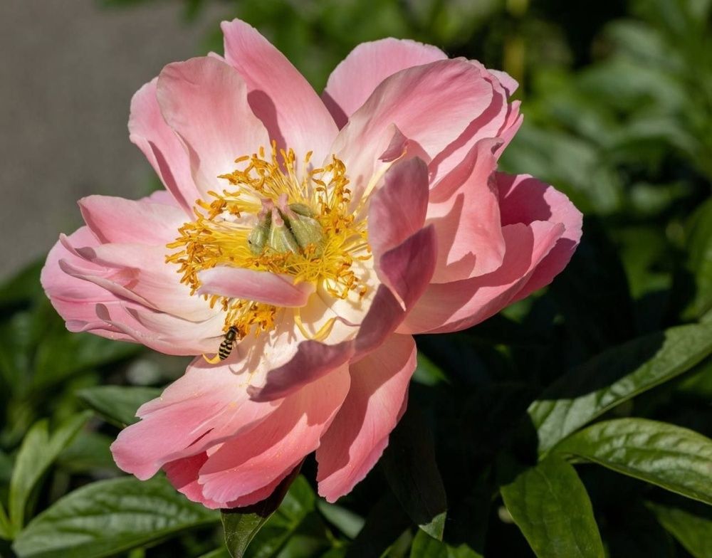 Photograph by Евгений Никонов