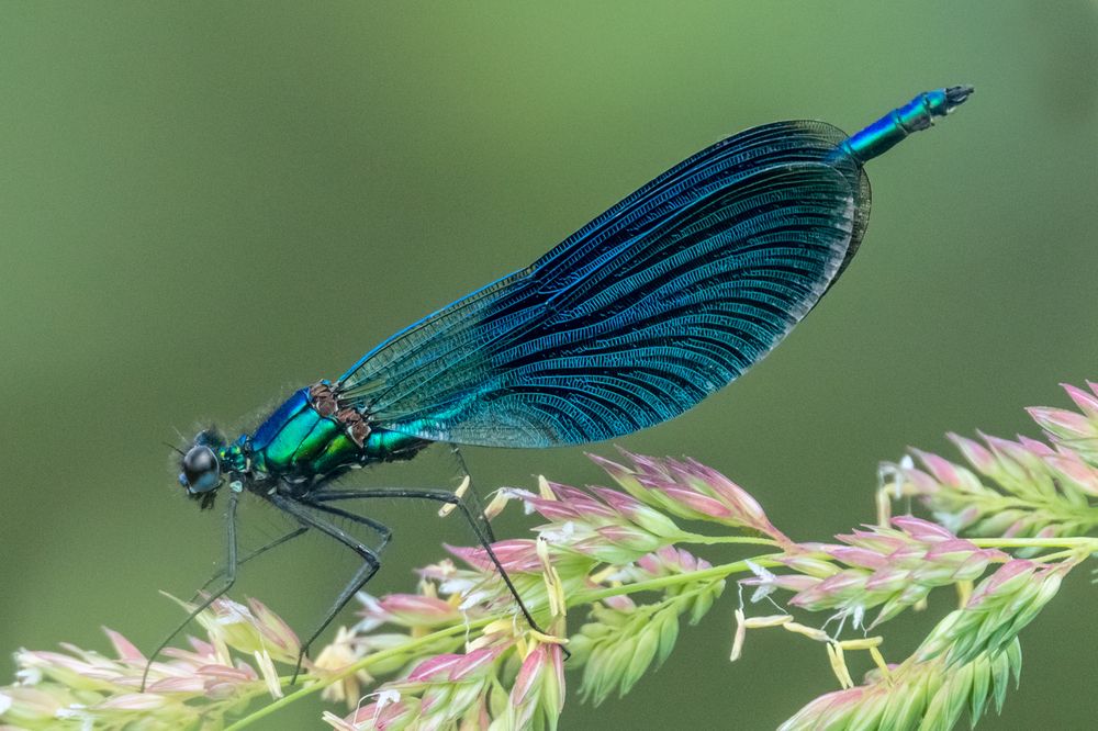 Photograph by Сергей Алексеев