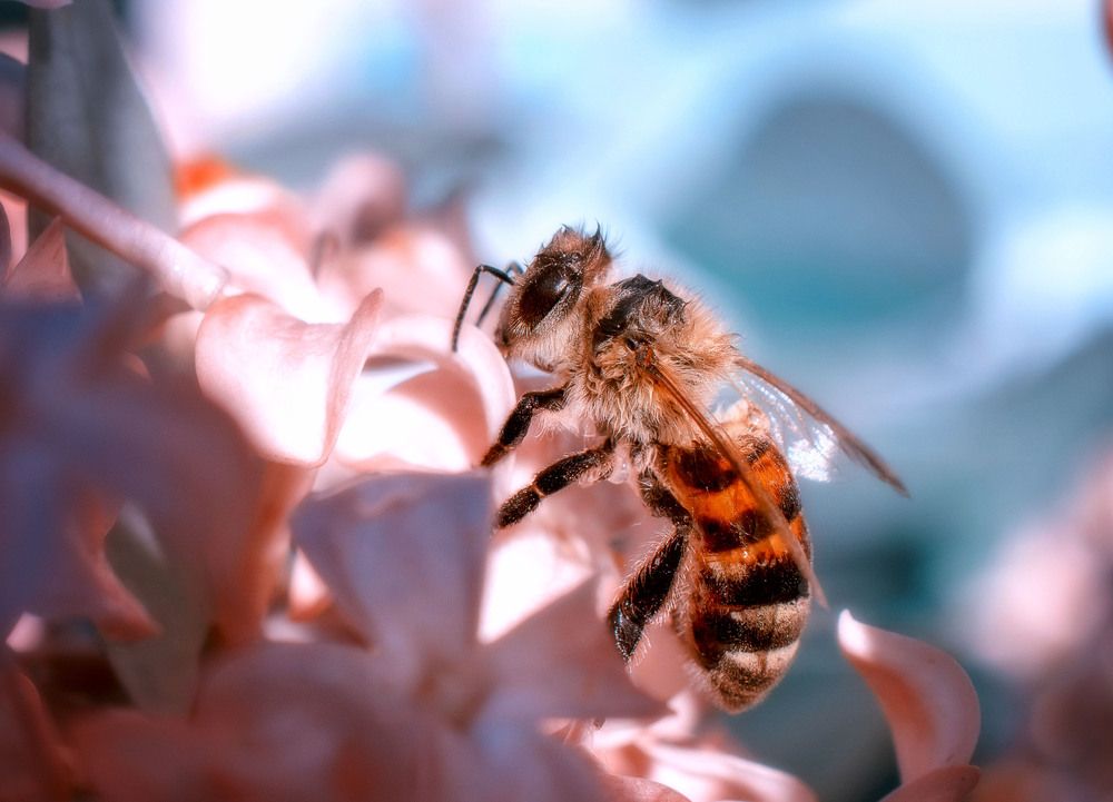 Photograph by Юлия Лушникова