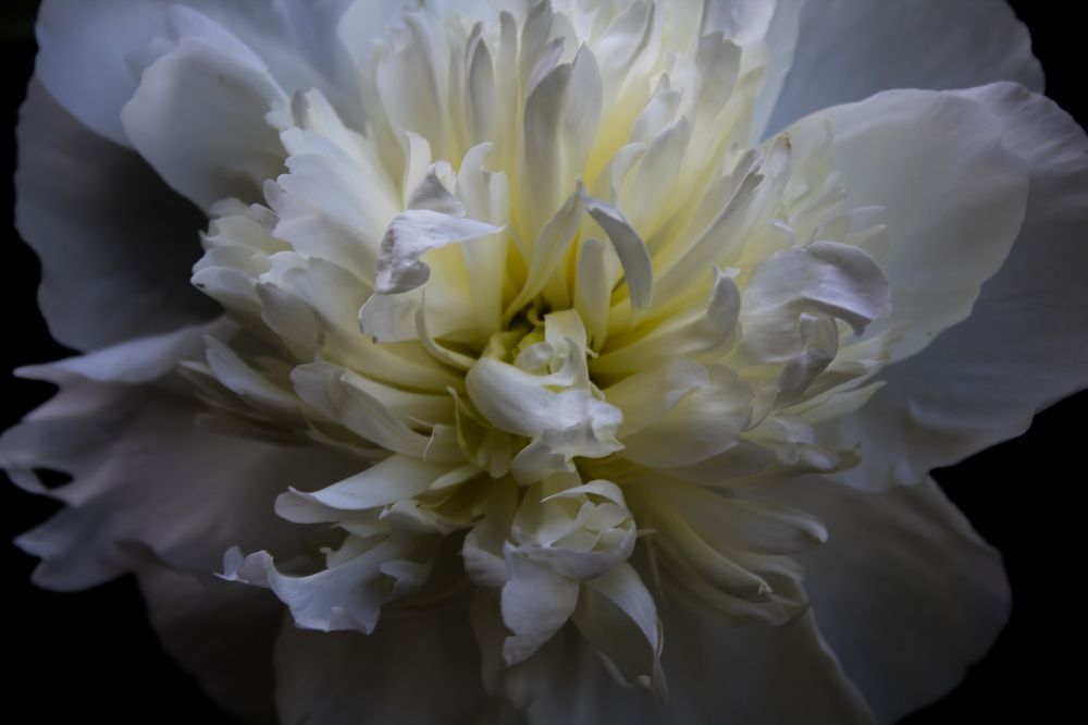 Photograph by Елена Фопа