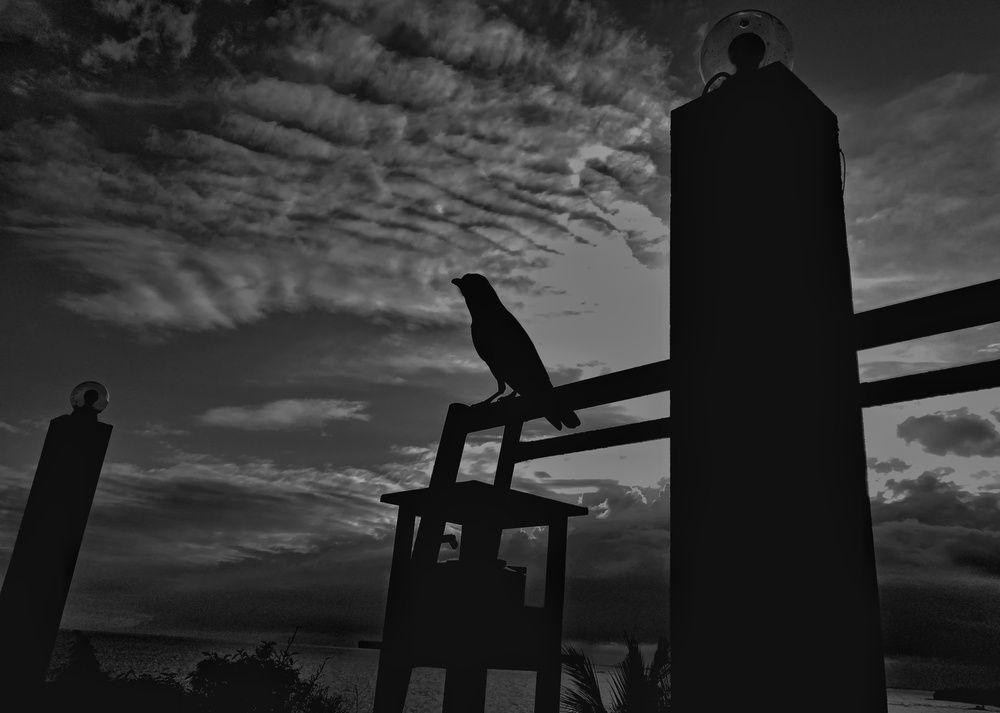 Photograph by Tharuni Shyamika Lakmali Wella Waduge