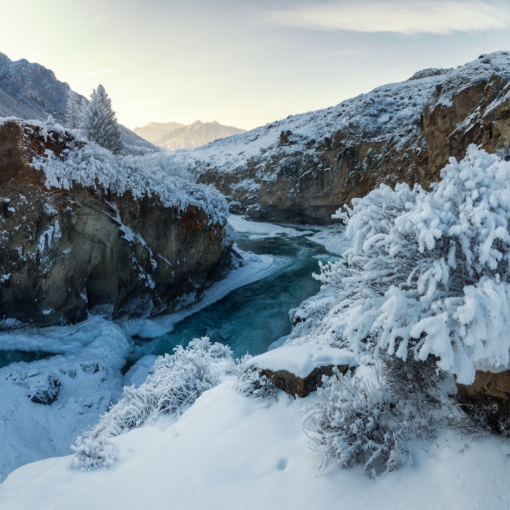 Photograph by Алёна Рубан