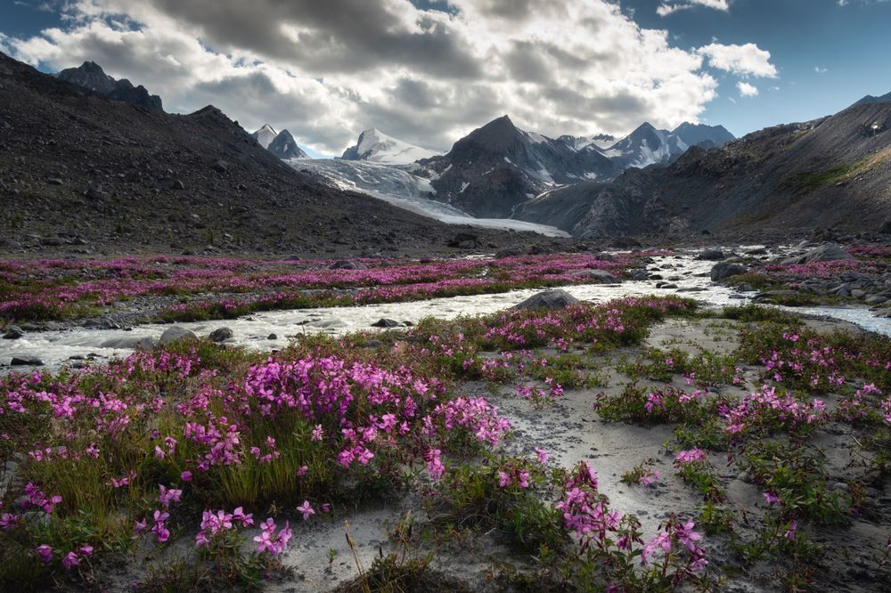 Photograph by Рубан Елена