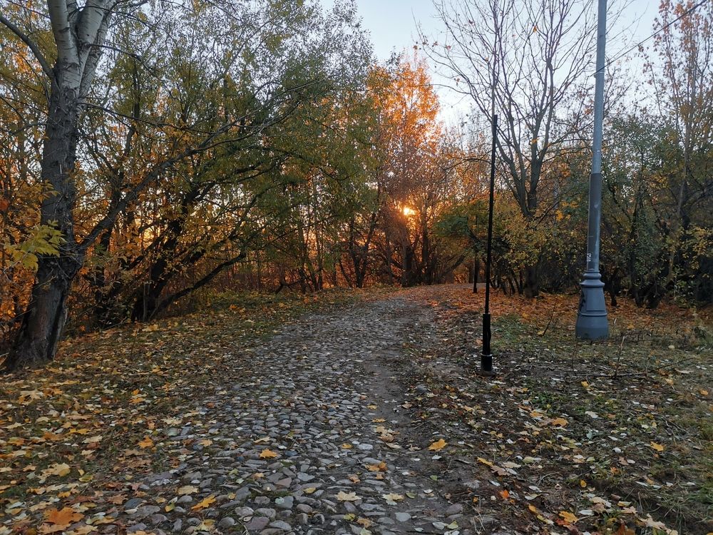 Фотография автора Давыдова Ольга Николаевна