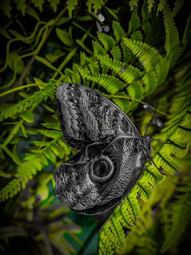 Photograph by Дмитрий Коновалов