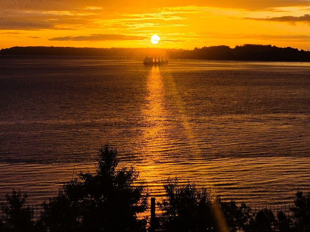 Photograph by Patricia Delionardis