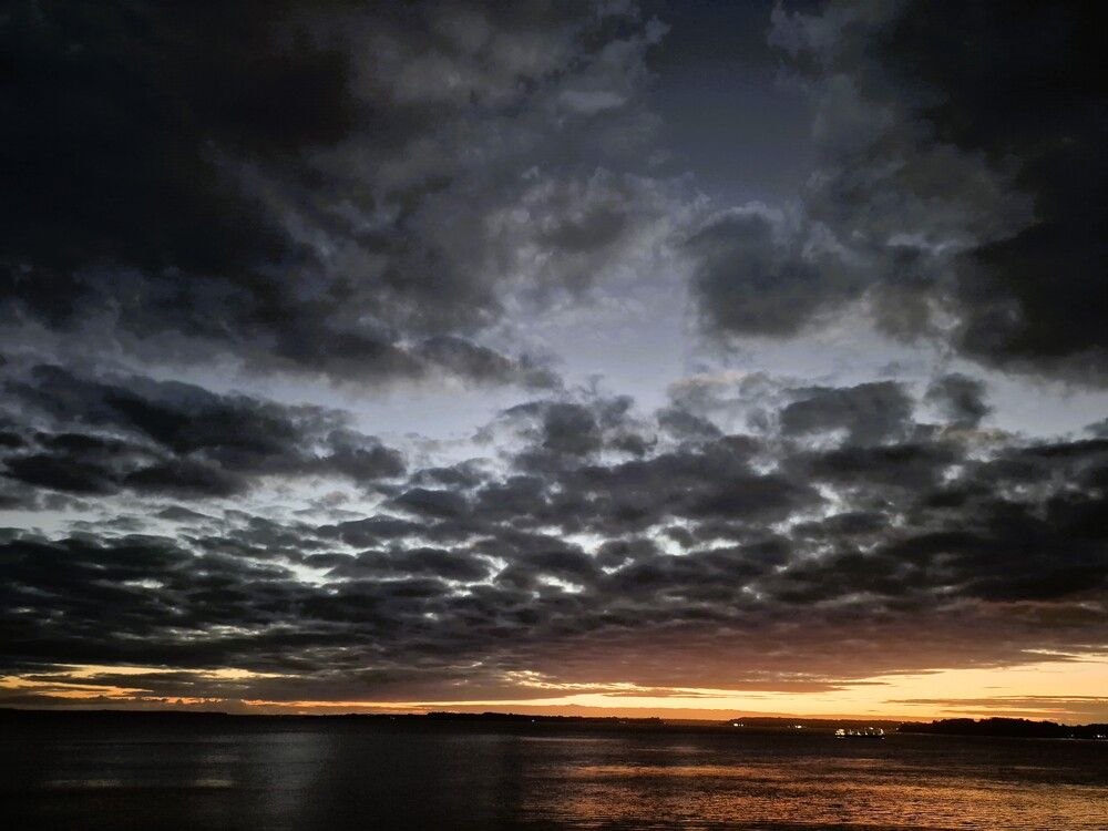Photograph by Patricia Delionardis