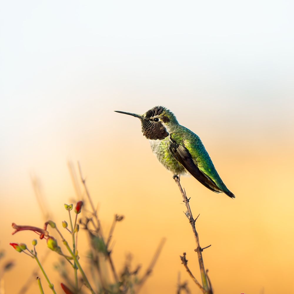 Photograph by Shebin Philip