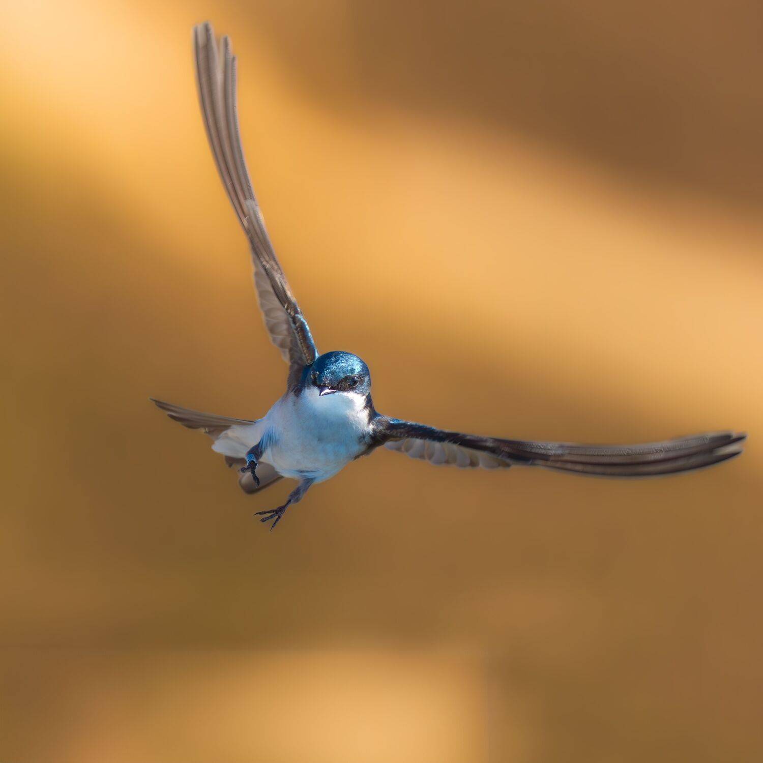 Фотография #12067770