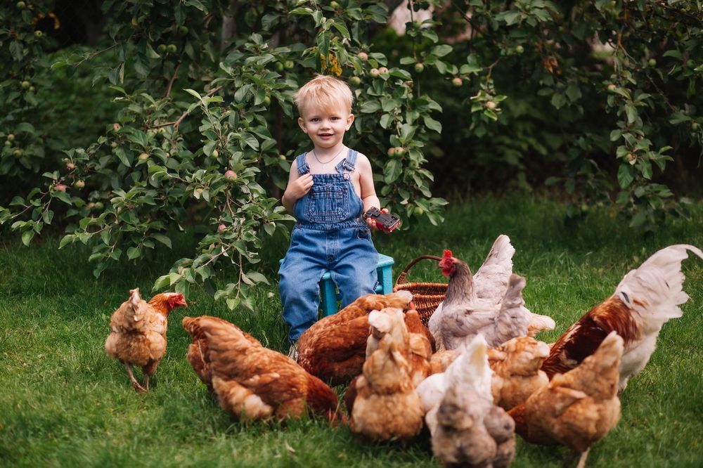 Photograph by вероника симан