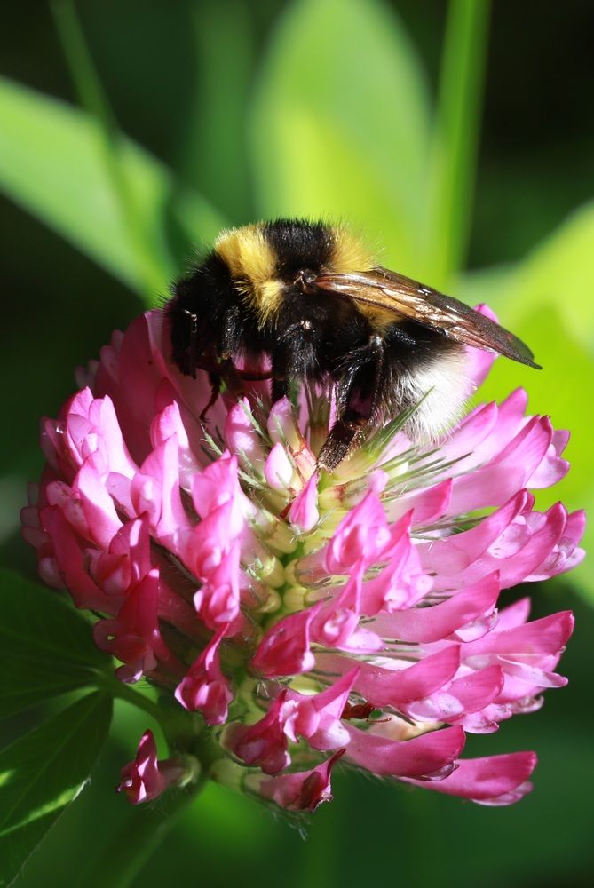 Photograph by Елена Тимченко