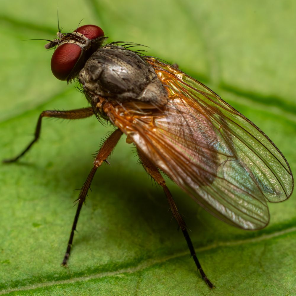 Photograph by Мамсур