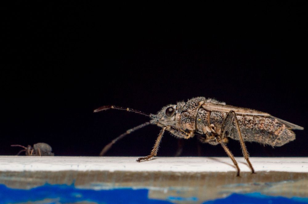 Photograph by Мамсур