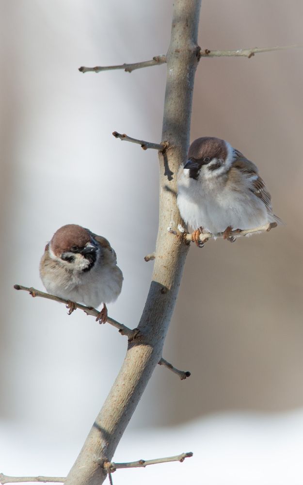 Photograph by Мамсур