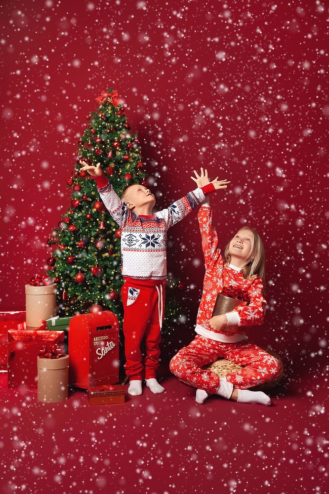 Фотография автора Ману Фалько