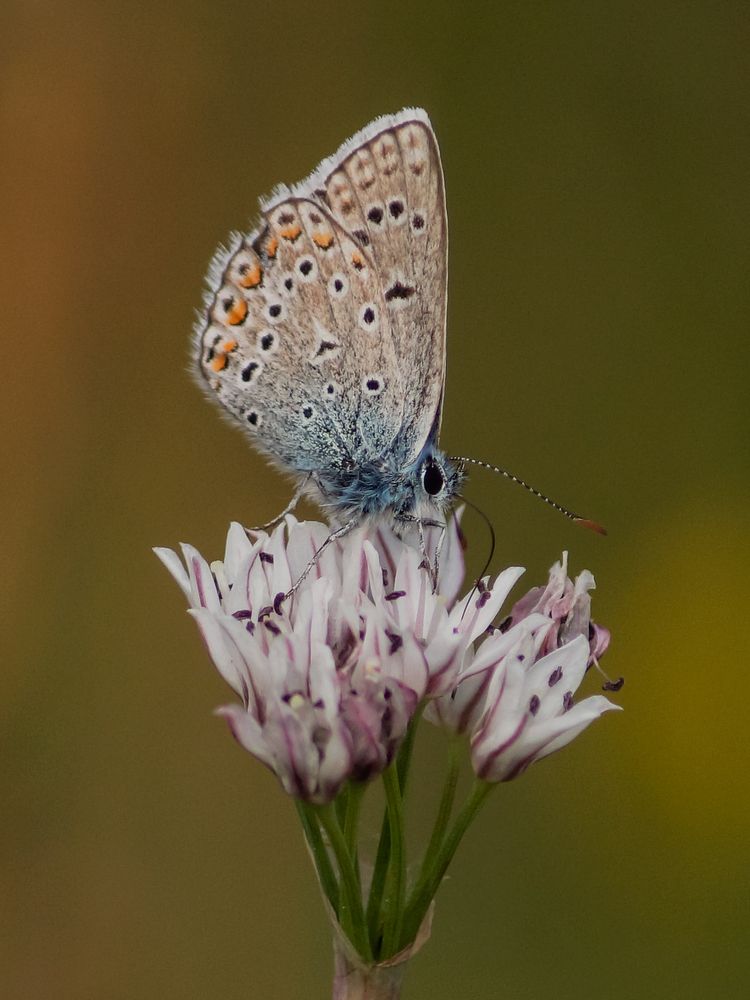 Photograph by Виктор Сёмушкин