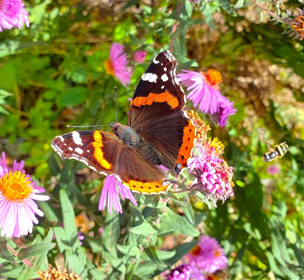 Photograph by Яна Галимуллина