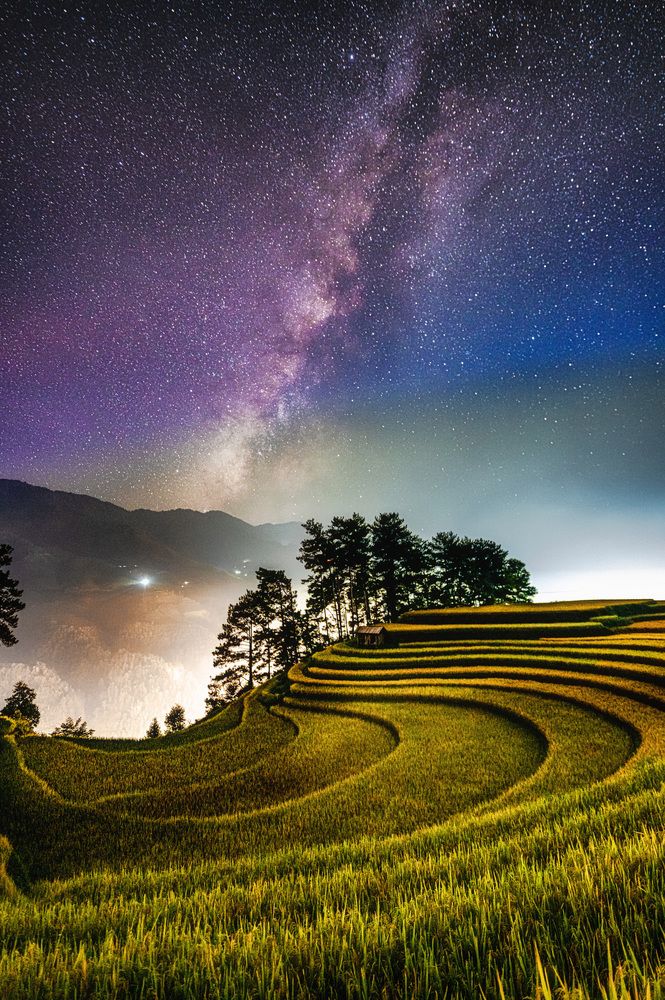 Photograph by Tran Phuong