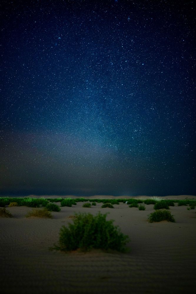 Фотография автора Sarrah Yehia