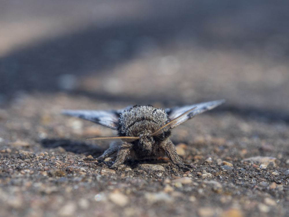 Photograph by Надежда Михайлина