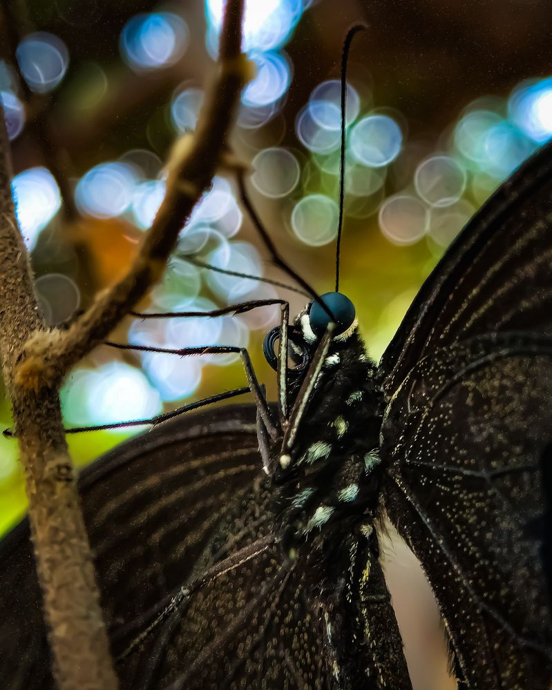 Photograph by Praveen