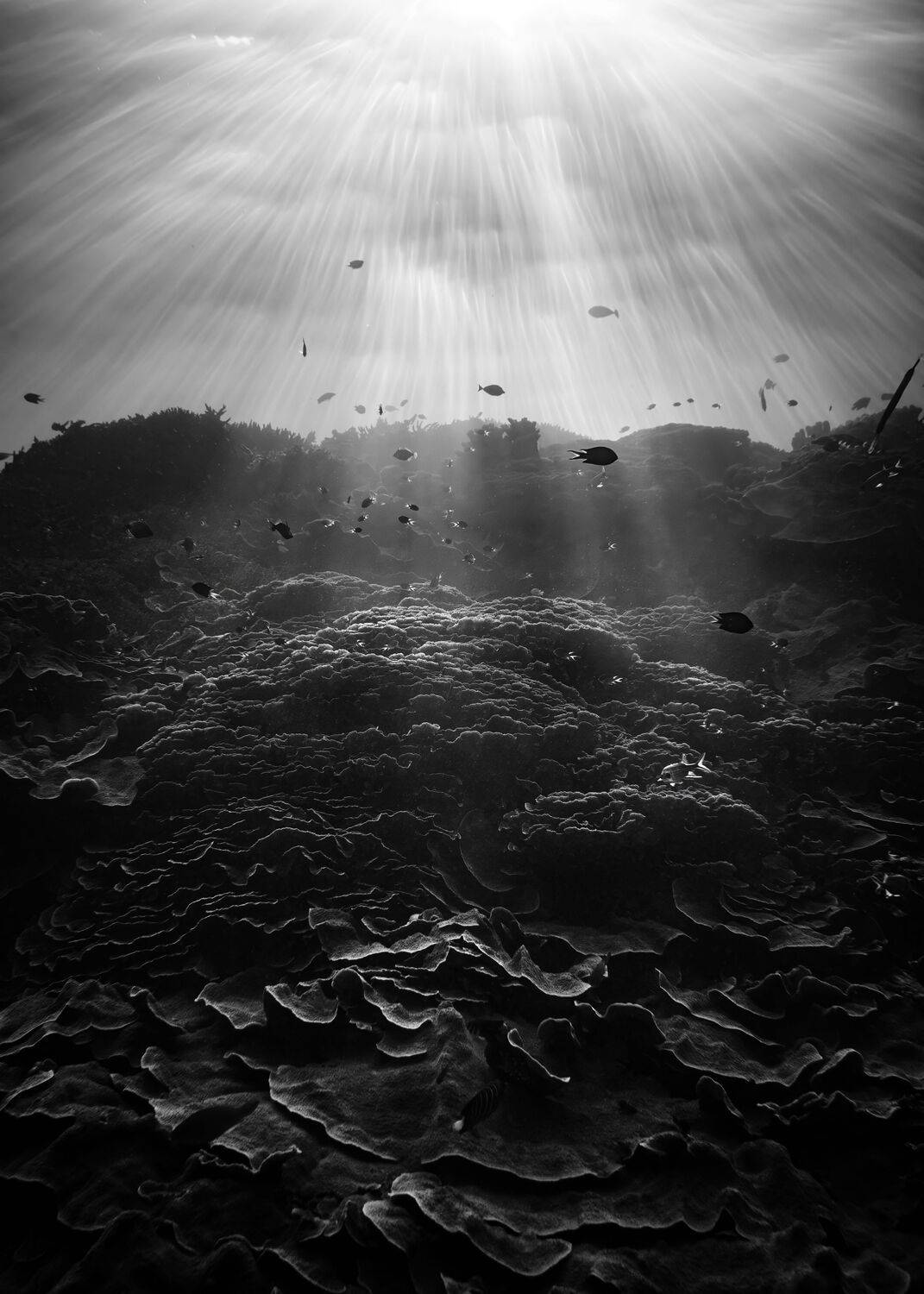 Фотография #12068384