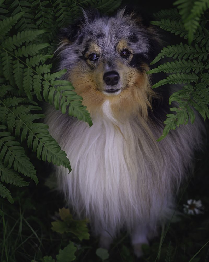 Photograph by Anna Sindikayeva