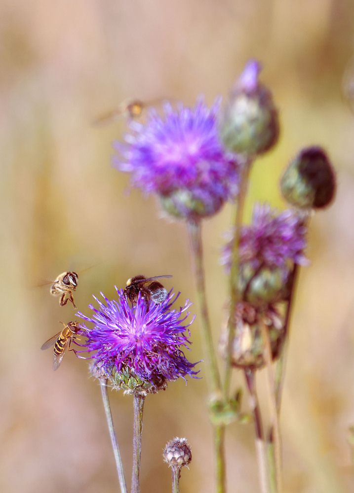 Photograph by Юлия Лушникова