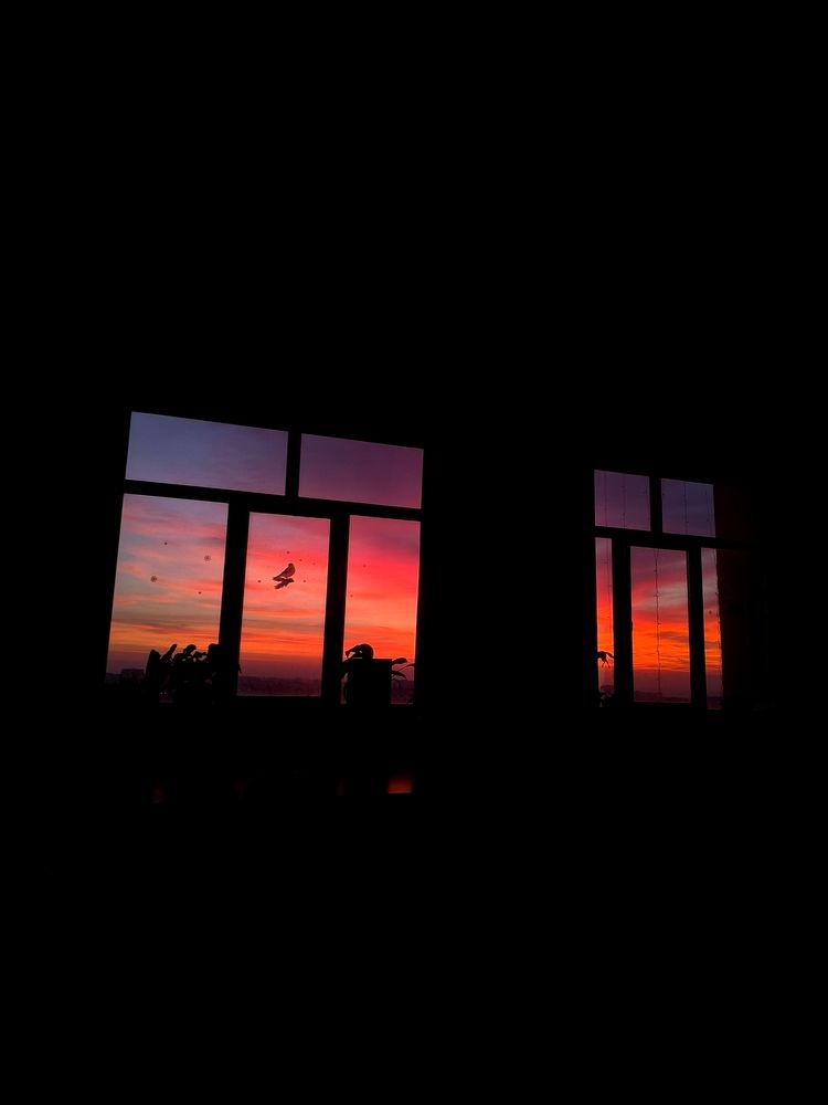 Photograph by Анна Цепкова