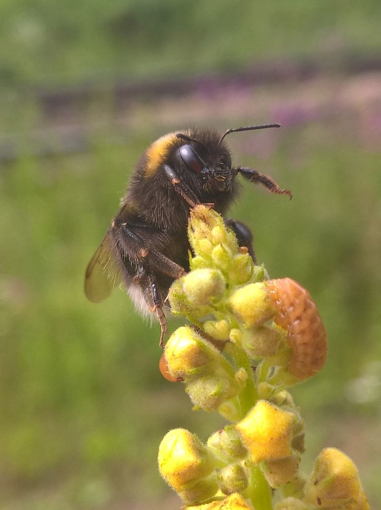 Photograph by Олеся Купча