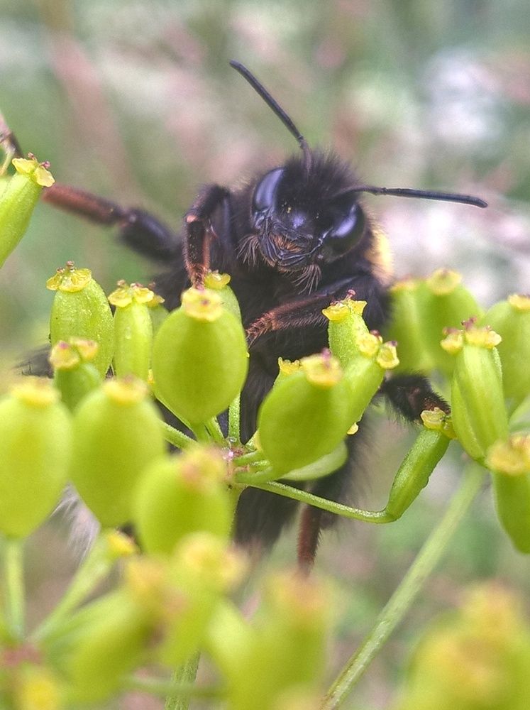 Photograph by Олеся Купча