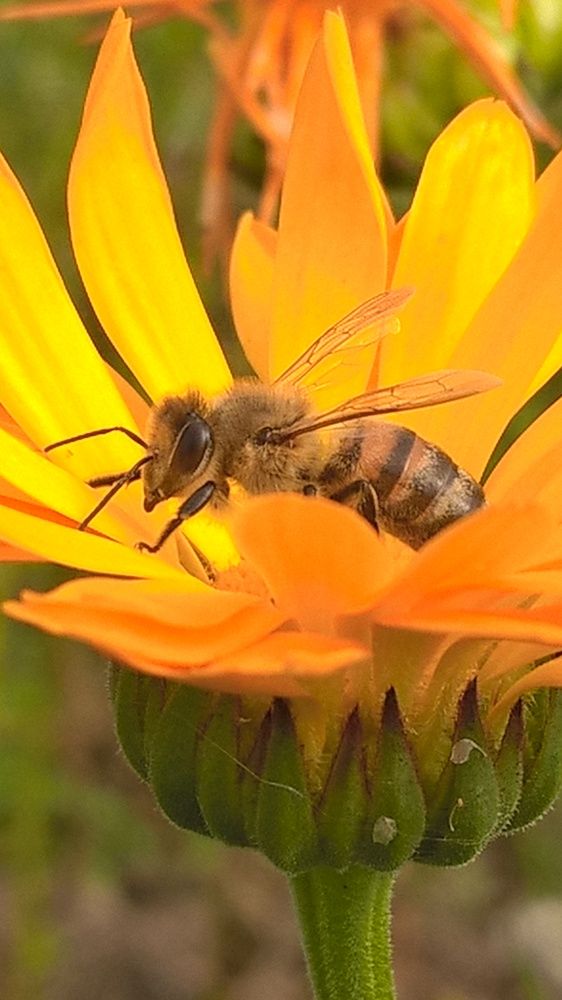 Photograph by Олеся Купча