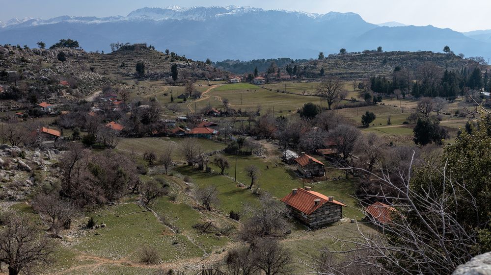 Фотография автора Кушпилева Марина
