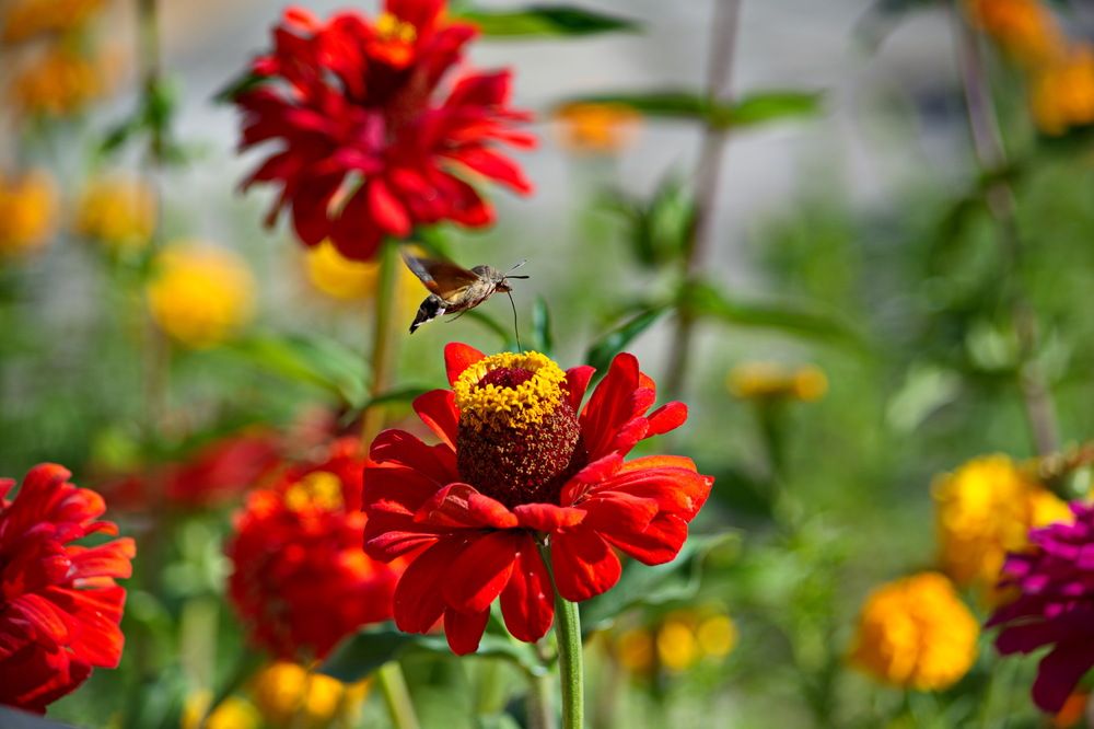 Photograph by Саркаров Юсиф