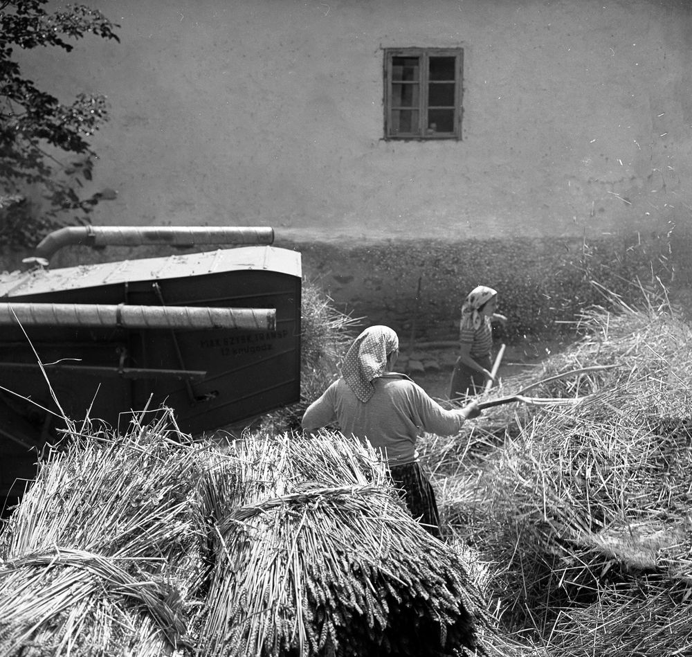 Photograph by Pancic Ivan