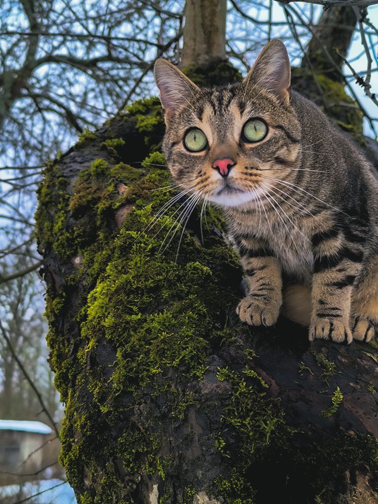 Фотография автора Лена Гром