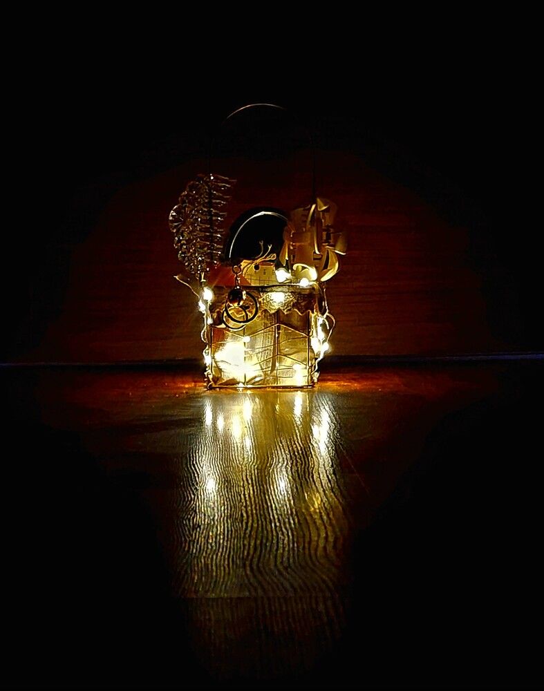 Photograph by G GOVIL