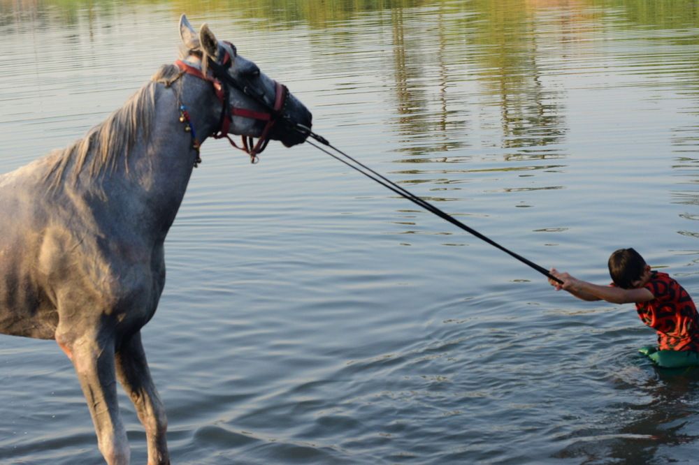 Photograph by وسام السلامي