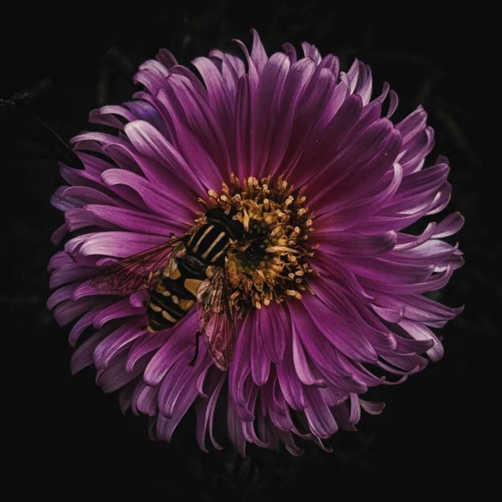 Photograph by Дарья Макаревич