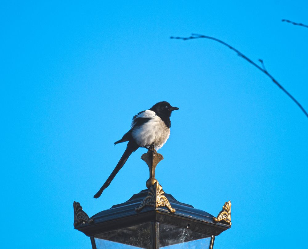 Photograph by Катерина Сорокина